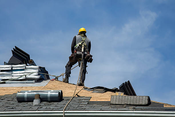 Professional Roof Replacement technician working in Van Meter, IA